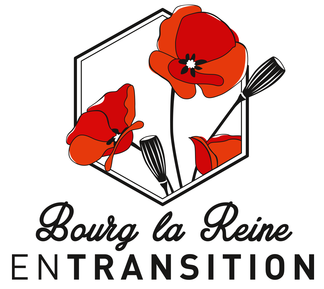 Bourg-la-Reine en Transition