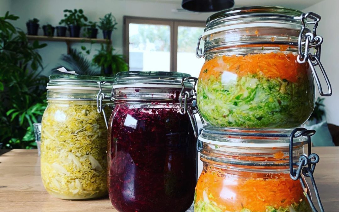 lacto fermentation BLRET