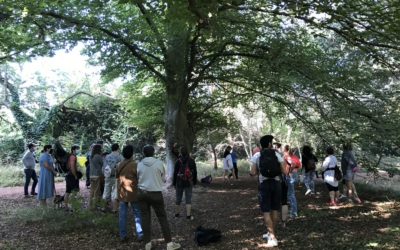 Balade botanique et poétique au Parc de Sceaux #4